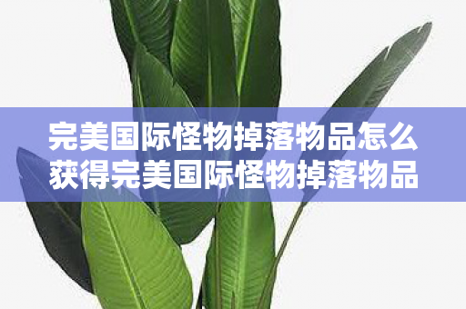 完美国际怪物掉落物品怎么获得完美国际怪物掉落物品全解析图片