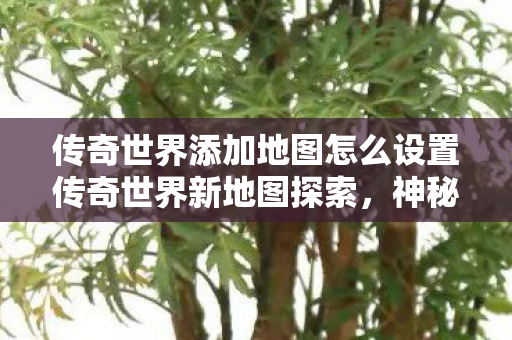 传奇世界添加地图怎么设置传奇世界新地图探索图片