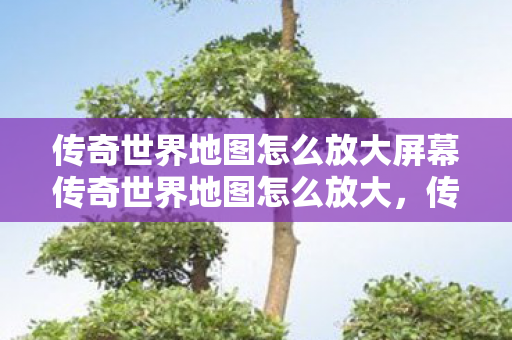 传奇世界地图怎么放大屏幕传奇世界地图怎么放大图片