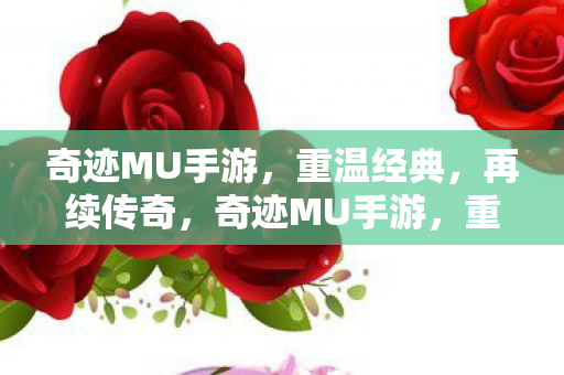 奇迹MU手游图片