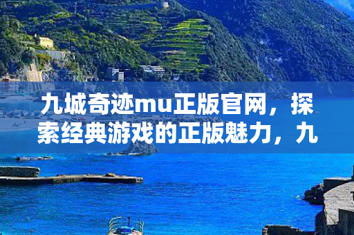 探索经典游戏的正版魅力图片