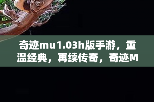 03h版手游图片
