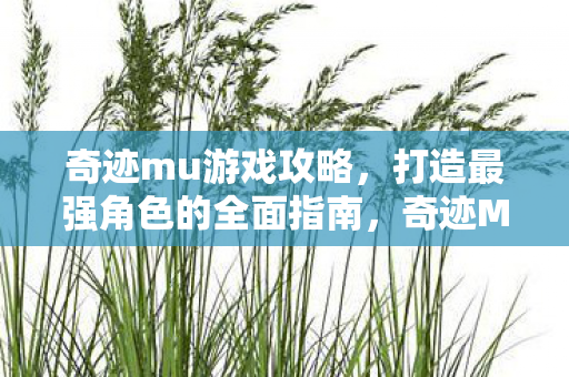 打造最强角色的全面攻略指南图片