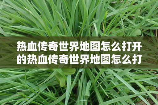 热血传奇世界地图怎么打开的热血传奇世界地图怎么打开图片