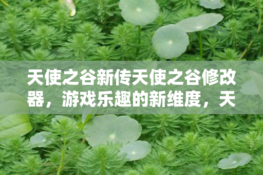 天使之谷新传天使之谷修改器,游戏乐趣的新维度,天使之谷修改器,解锁游戏新乐趣 天使之谷新传天使之谷修改器,游戏乐趣的新维度,天使之谷修改器,解锁游戏新乐趣