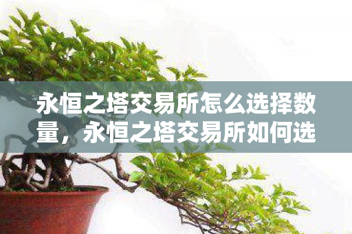 永恒之塔交易所如何选择交易数量图片