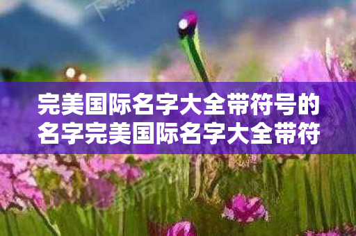 完美国际名字大全带符号的名字完美国际名字大全带符号的图片