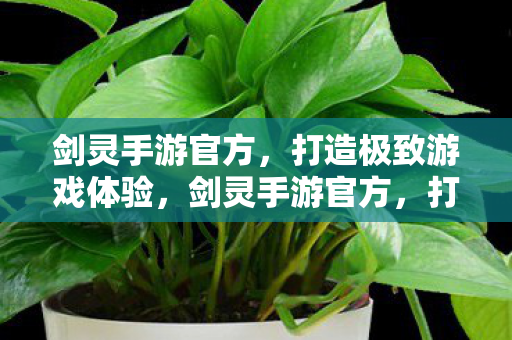 打造极致游戏体验图片