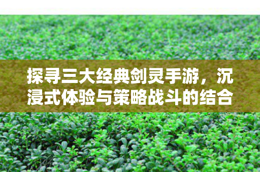 沉浸式体验与策略战斗的完美融合图片