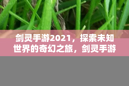 探索未知世界的奇幻之旅图片
