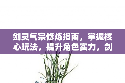 剑灵气宗修炼全攻略图片