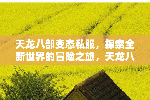 探索全新世界的冒险之旅图片