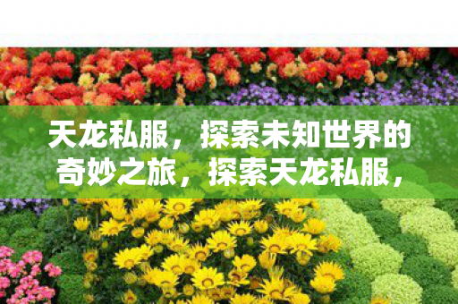 探索未知世界的奇妙之旅图片