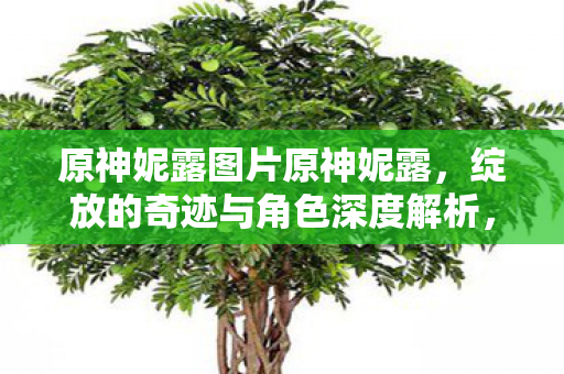 绽放的奇迹与角色深度解析图片