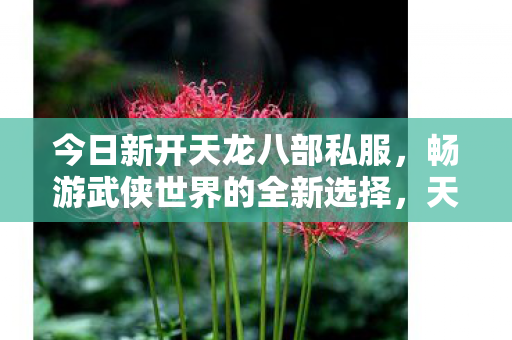 畅游武侠世界的全新选择图片