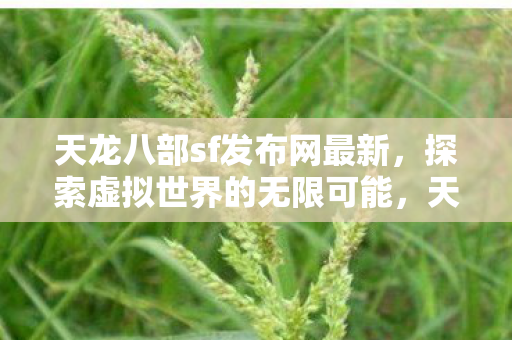 天龙八部sf发布网最新发布图片