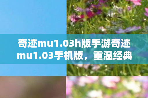 03h版手游奇迹mu1图片