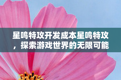 星鸣特攻开发成本星鸣特攻,探索游戏世界的无限可能,星鸣特攻,探索游戏世界的无限可能 星鸣特攻开发成本星鸣特攻,探索游戏世界的无限可能,星鸣特攻,探索游戏世界的无限可能