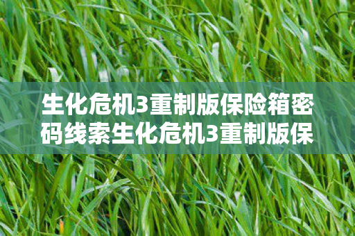 生化危机3重制版保险箱密码线索生化危机3重制版保险箱密码，揭秘隐藏在黑暗中的秘密，生化危机3重制版保险箱密码揭秘，隐藏在黑暗中的秘密