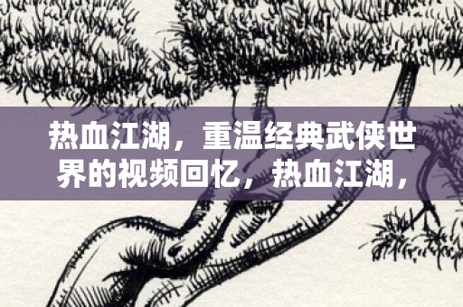 重温经典武侠世界的视频回忆图片