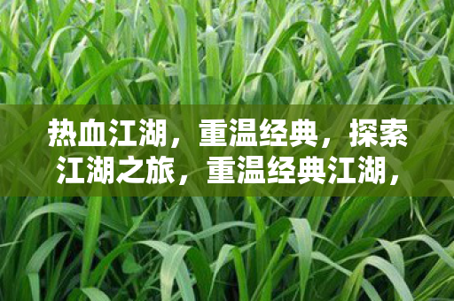 探索江湖之旅图片