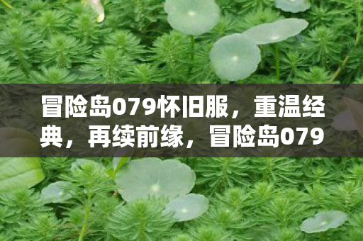 冒险岛079怀旧服图片