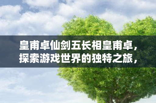 皇甫卓在仙剑五中的形象解析图片
