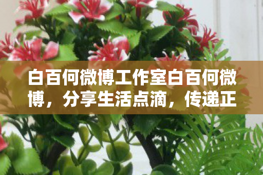 白百何微博工作室白百何微博图片