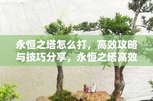 打造不败战绩的实战技巧图片