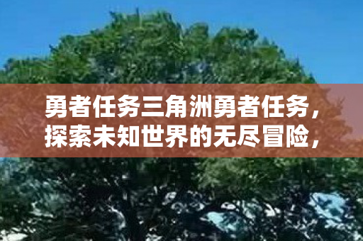 勇者任务三角洲勇者任务图片