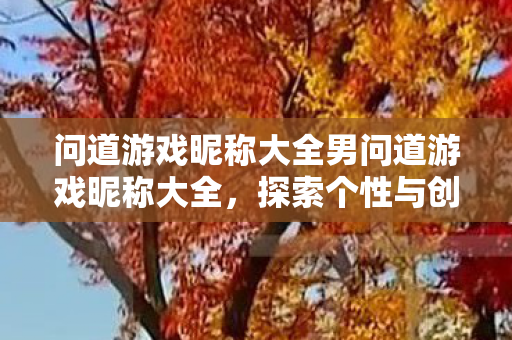问道游戏昵称大全男问道游戏昵称大全，探索个性与创意的无限可能，问道游戏昵称大全，展现男性个性与创意的无限可能