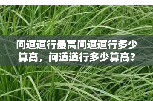 问道道行最高问道道行多少算高,问道道行多少算高? 问道道行最高问道道行多少算高,问道道行多少算高?