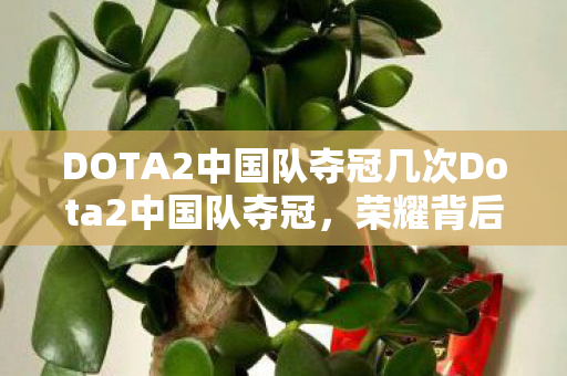DOTA2中国队夺冠几次Dota2中国队夺冠图片