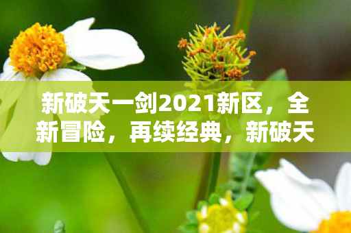 新破天一剑2021新区,全新冒险,再续经典,新破天一剑2021新区开启,续写经典冒险新篇章 新破天一剑2021新区,全新冒险,再续经典,新破天一剑2021新区开启,续写经典冒险新篇章