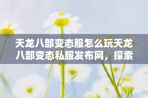 天龙八部变态服怎么玩天龙八部变态私服发布网图片