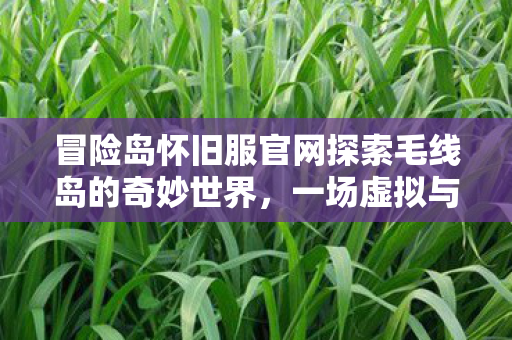 冒险岛怀旧服官网探索毛线岛的奇妙世界图片