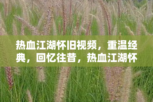 热血江湖怀旧视频图片