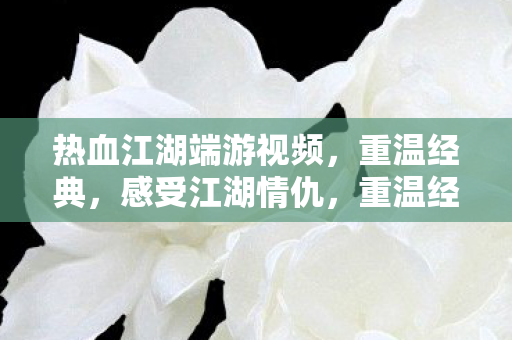 热血江湖端游视频图片
