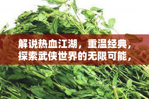 探索武侠世界的无限可能图片