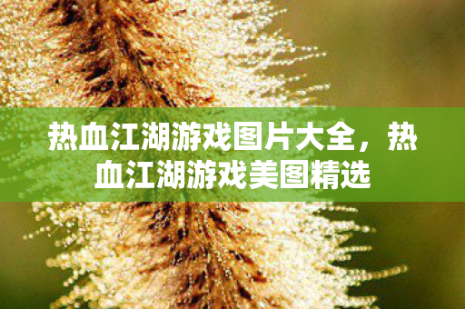 热血江湖游戏图片大全图片