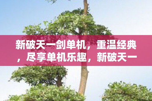 新破天一剑单机图片