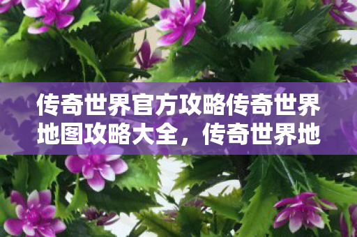 传奇世界官方攻略传奇世界地图攻略大全图片