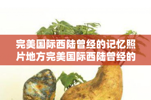 完美国际西陆曾经的记忆照片地方完美国际西陆曾经的记忆图片