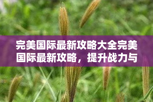 完美国际最新攻略大全完美国际最新攻略图片