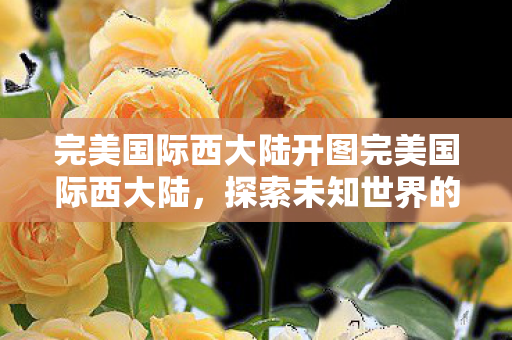 完美国际西大陆开图完美国际西大陆图片
