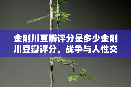 金刚川豆瓣评分是多少金刚川豆瓣评分图片