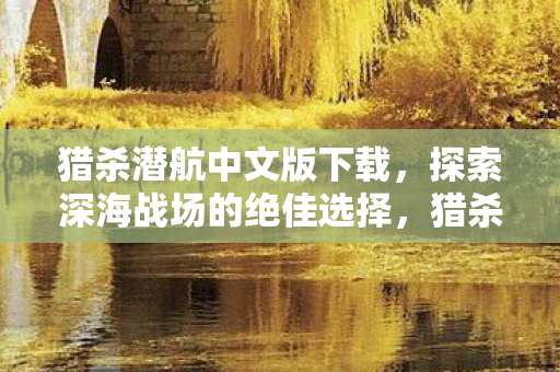 探索深海战场的绝佳选择图片