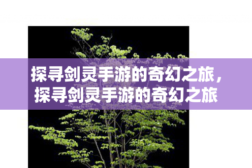 探寻剑灵手游的奇幻之旅图片