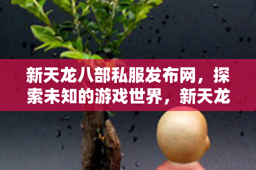 新天龙八部私服发布网图片