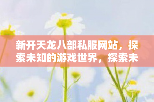 新开天龙八部私服网站图片